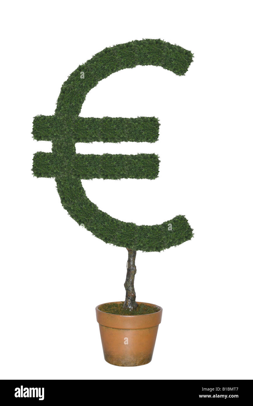 Topiaria da albero nella forma del simbolo della valuta Euro ritagliata su sfondo bianco Foto Stock
