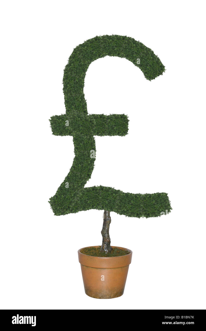 Topiaria da albero nella forma della sterlina britannica il simbolo di valuta ritagliata su sfondo bianco Foto Stock