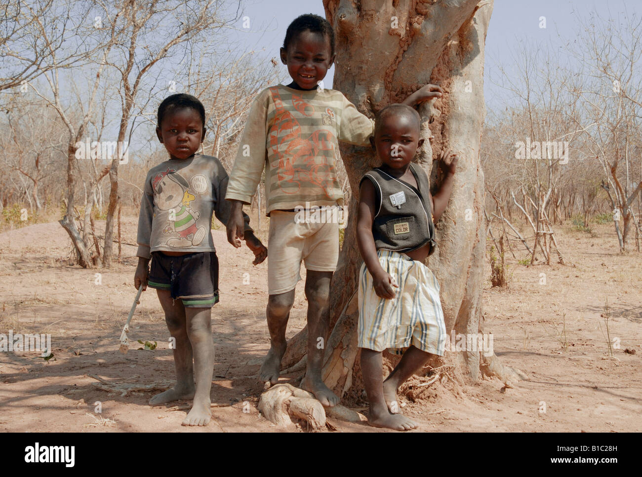Geografia / viaggi, Zambia, persone i bambini a tree, nei pressi di Tonga Village vicino a Siavonga al serbatoio di Kariba, Additional-Rights-Clearance-Info-Not-Available Foto Stock