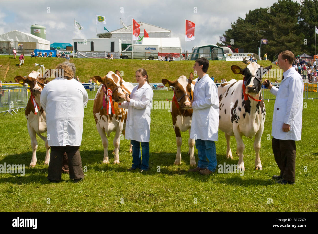 Mostra dell'agricoltura presso il Royal Cornwall Show 2008 Foto Stock