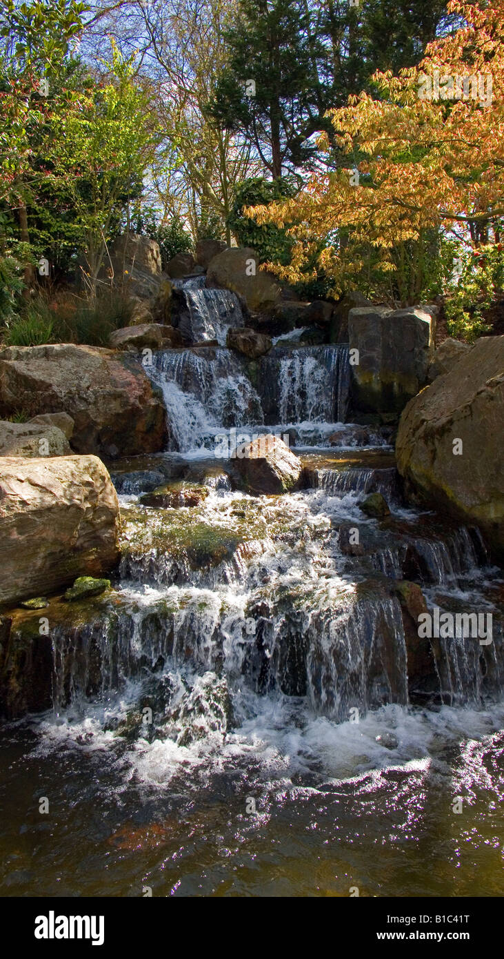 Kyoto Garden Holland Park London REGNO UNITO Foto Stock