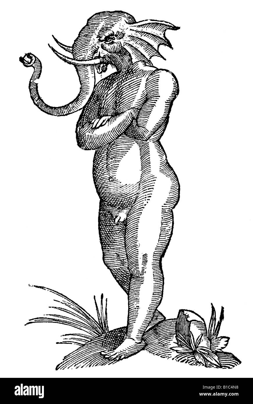 Puer capite elephantino, Aldrovandi, 1642, secolo XVII, Rinascimento, Europa Foto Stock