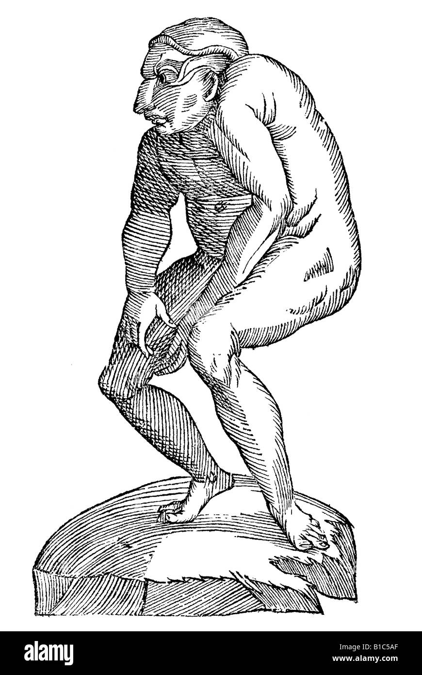 Idem feto secundum latus effiigiatus, Aldrovandi, 1642, secolo XVII, Rinascimento, Europa Foto Stock