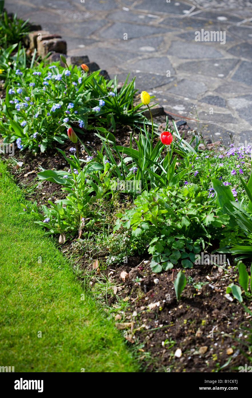 Giardino bordi Foto Stock