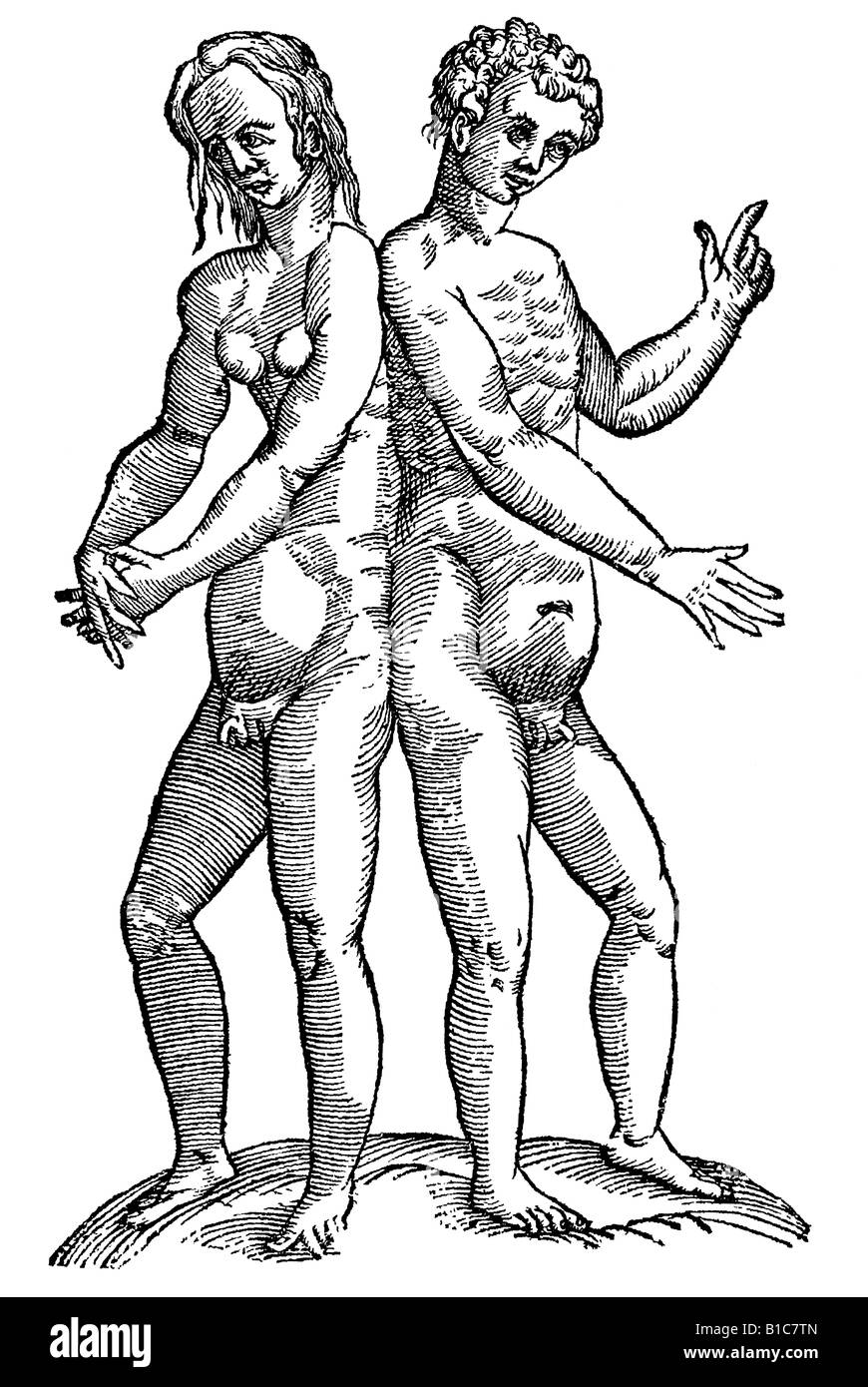 Gemelli tergore Hermaphroditi connati, Aldrovandi 1642 xvii secolo Europa del Rinascimento Foto Stock