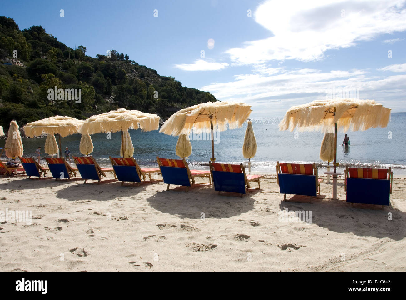 Ombrelloni e sedie a sdraio allineate sulla spiaggia di Fetovaia una delle spiagge più bianca dell'Isola d'Elba (Isola d'Elba) Foto Stock