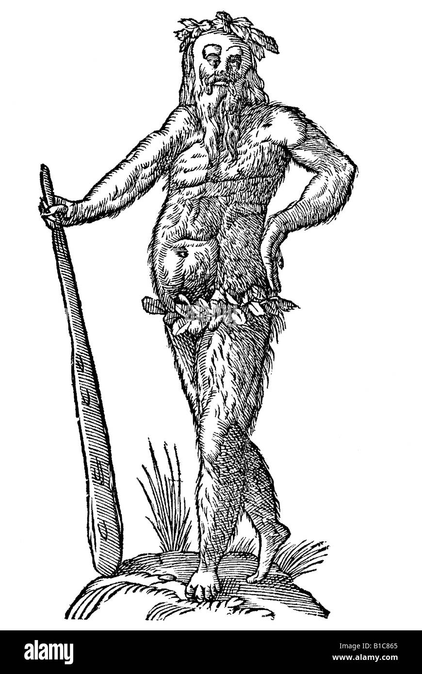 Mas Cinnaminiae gentis, Aldrovandi, 1642, secolo XVII, Rinascimento, Europa Foto Stock