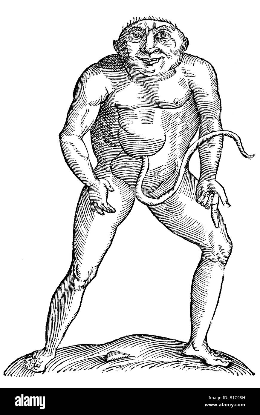 Feto sine collo Bracchi aemulus, Aldrovandi, 1642, secolo XVII, Rinascimento, Europa Foto Stock