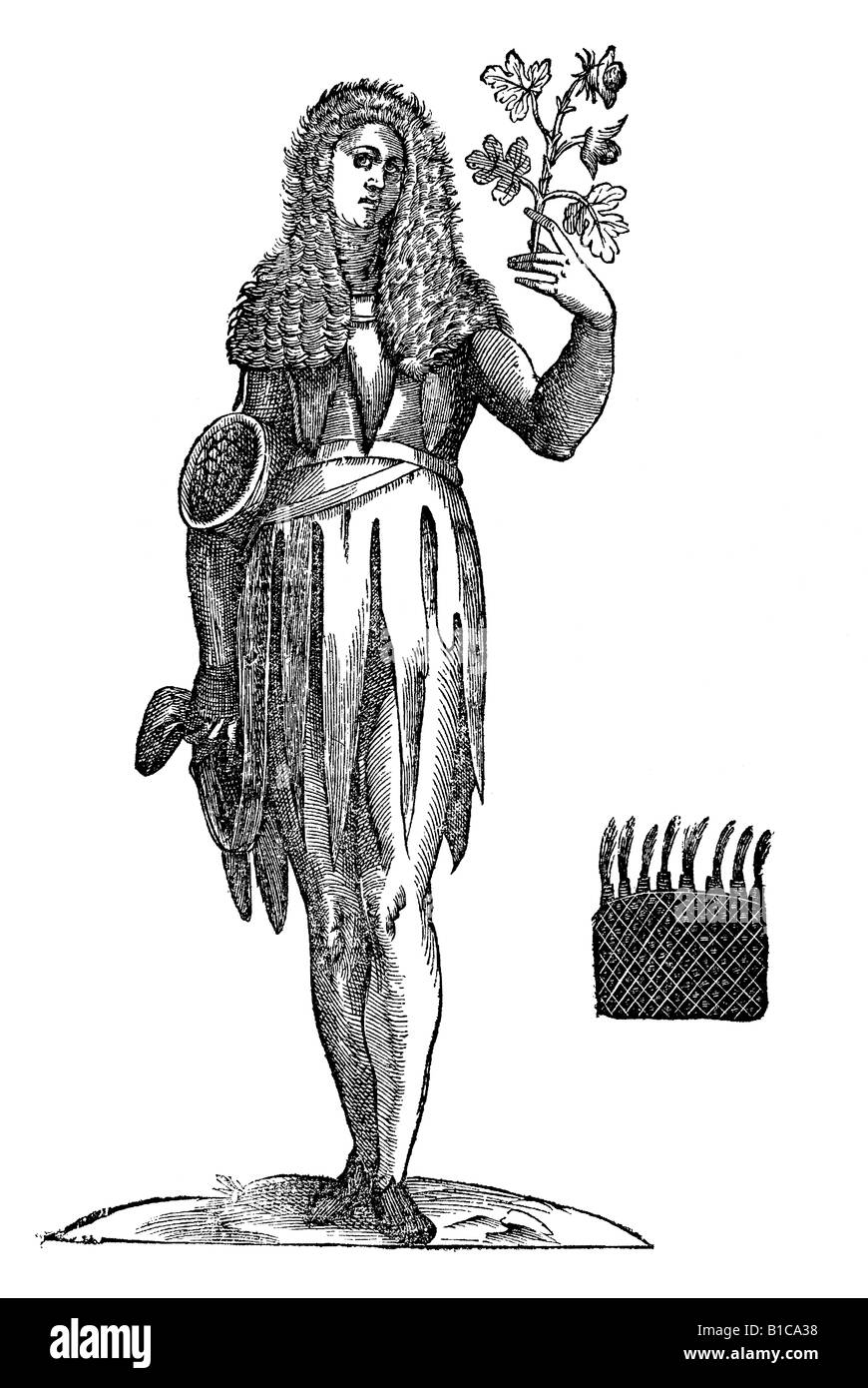 Regina Insulae Floridae, Aldrovandi 1642 xvii secolo Europa del Rinascimento Foto Stock