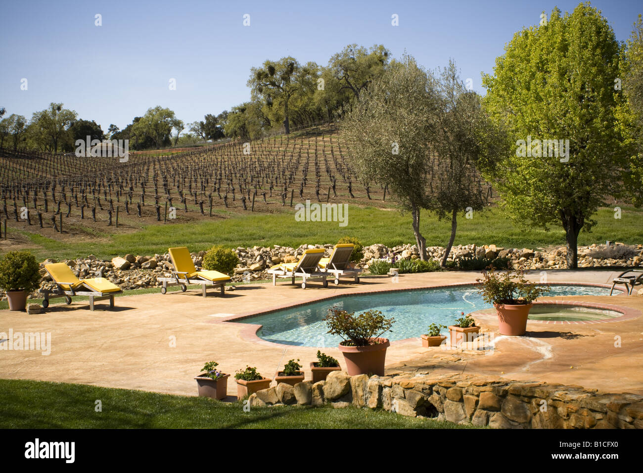 Vigneti patio e la piscina a Justin cantina Paso Robles California Foto Stock