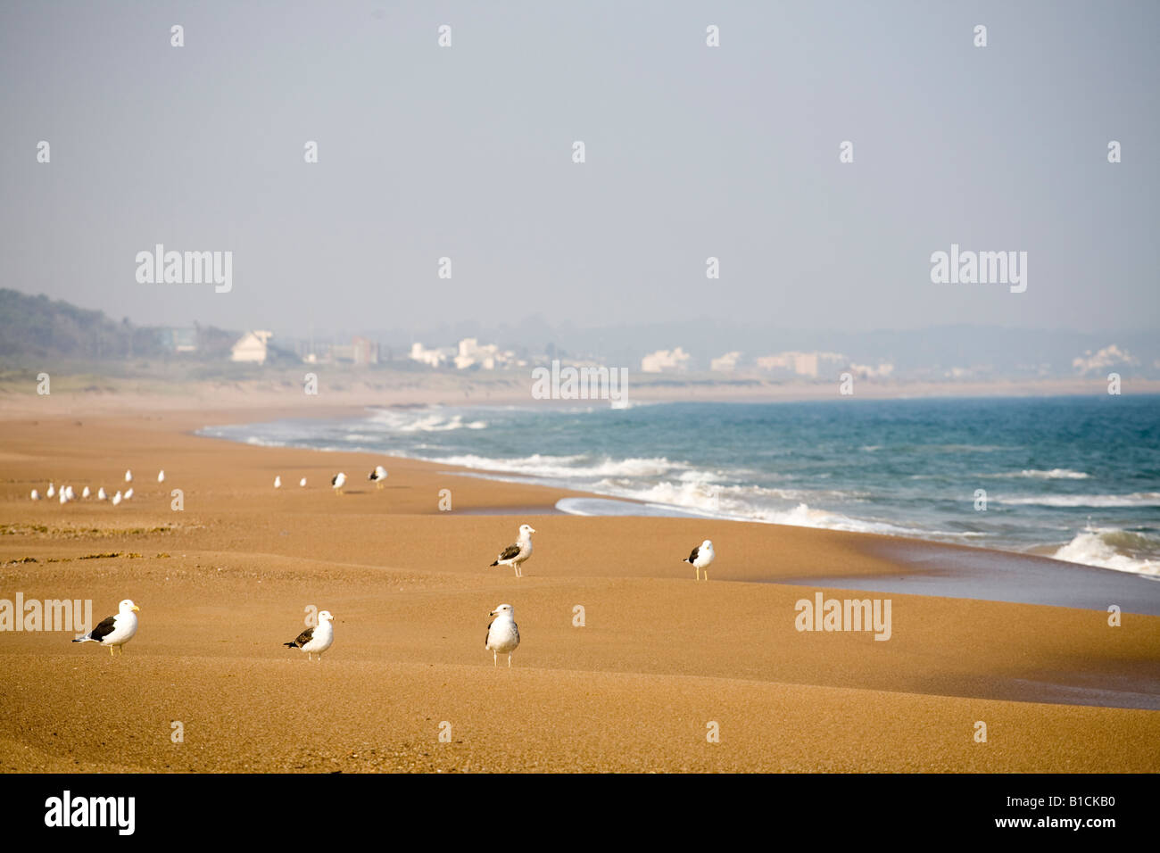 Svuotare Mansa visto sulla spiaggia di Punta del Este Uruguay Foto Stock