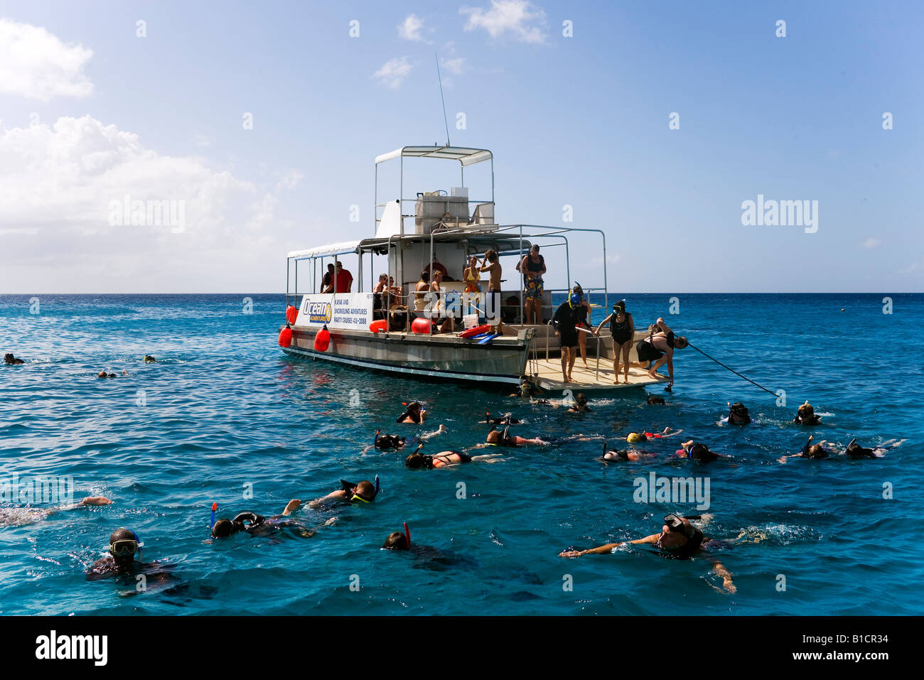 La gente lo snorkeling nell'Oceano Atlantico sulla costa ovest di Barbados Caraibi Foto Stock
