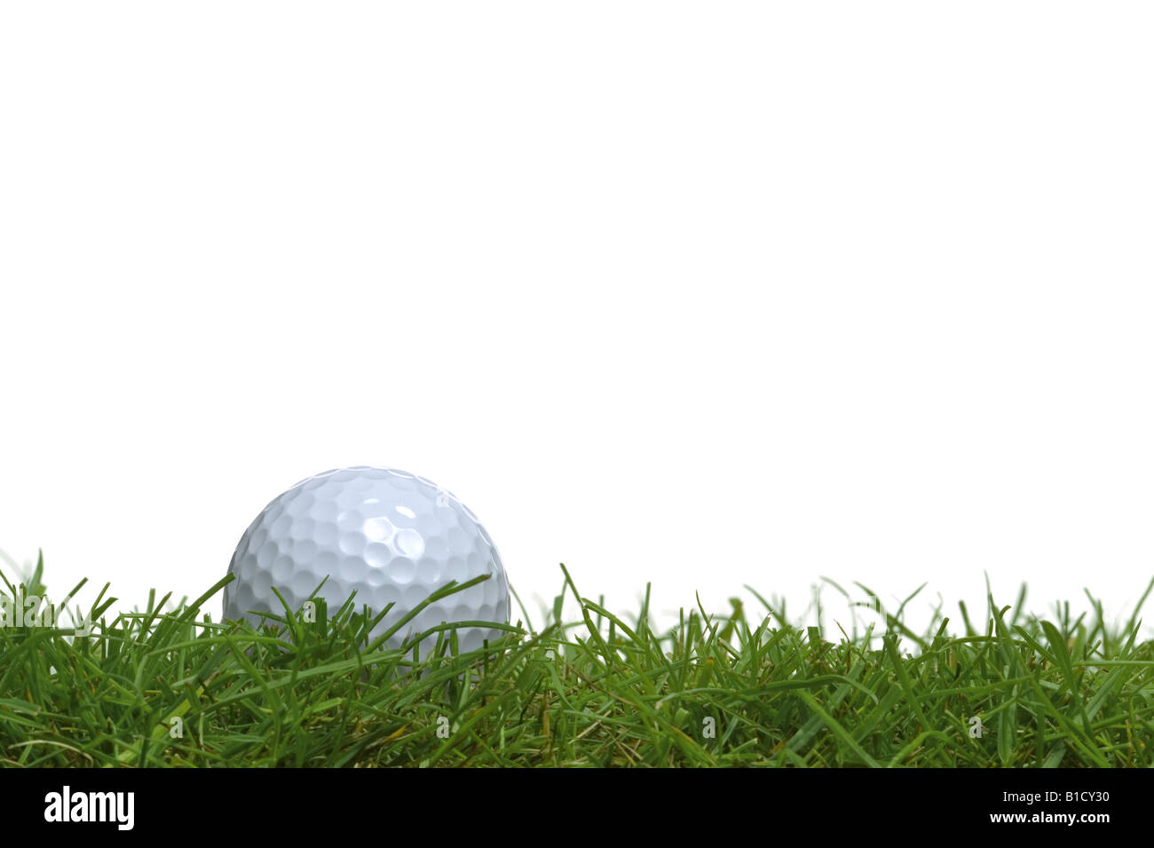 Pallina da golf in erba sparato contro uno sfondo bianco Foto Stock