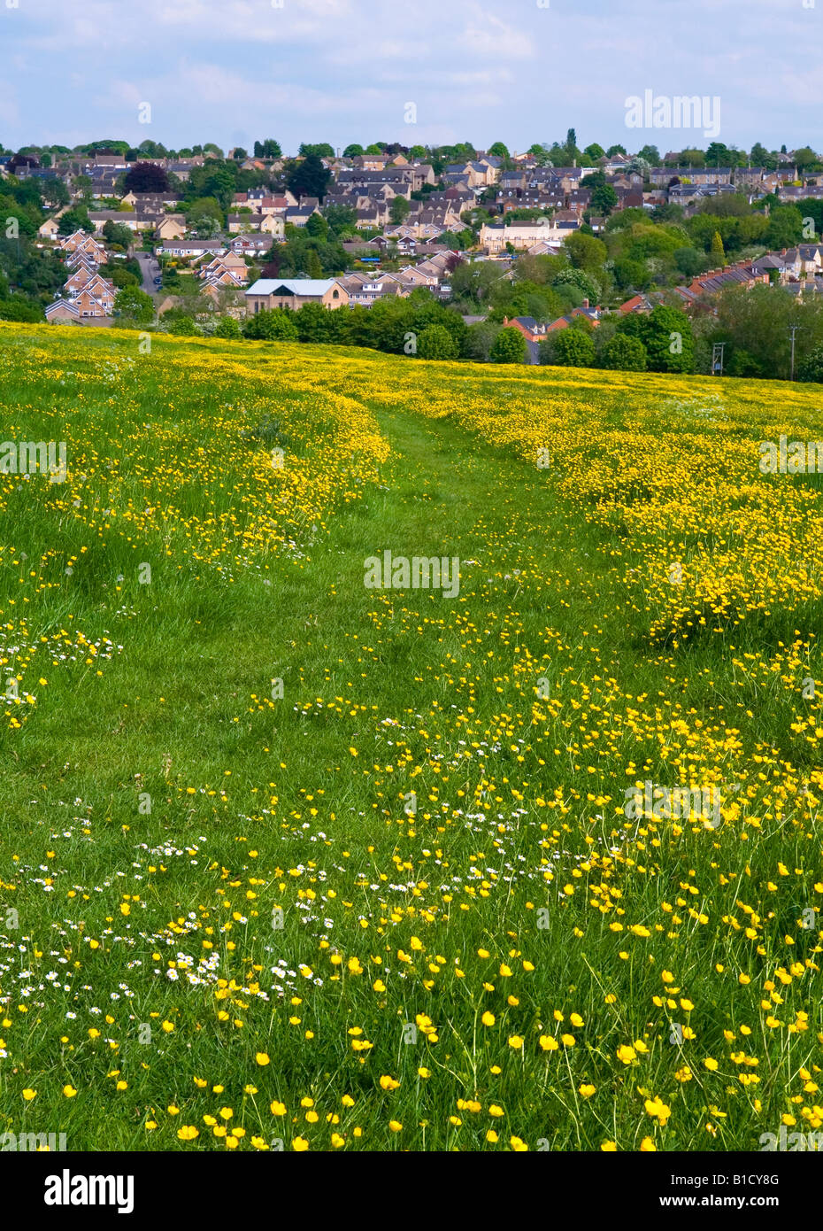 Cintura verde terra a Chipping Norton in Cotswolds Oxfordshire Inghilterra con case in prossimità di prati incontaminati Foto Stock