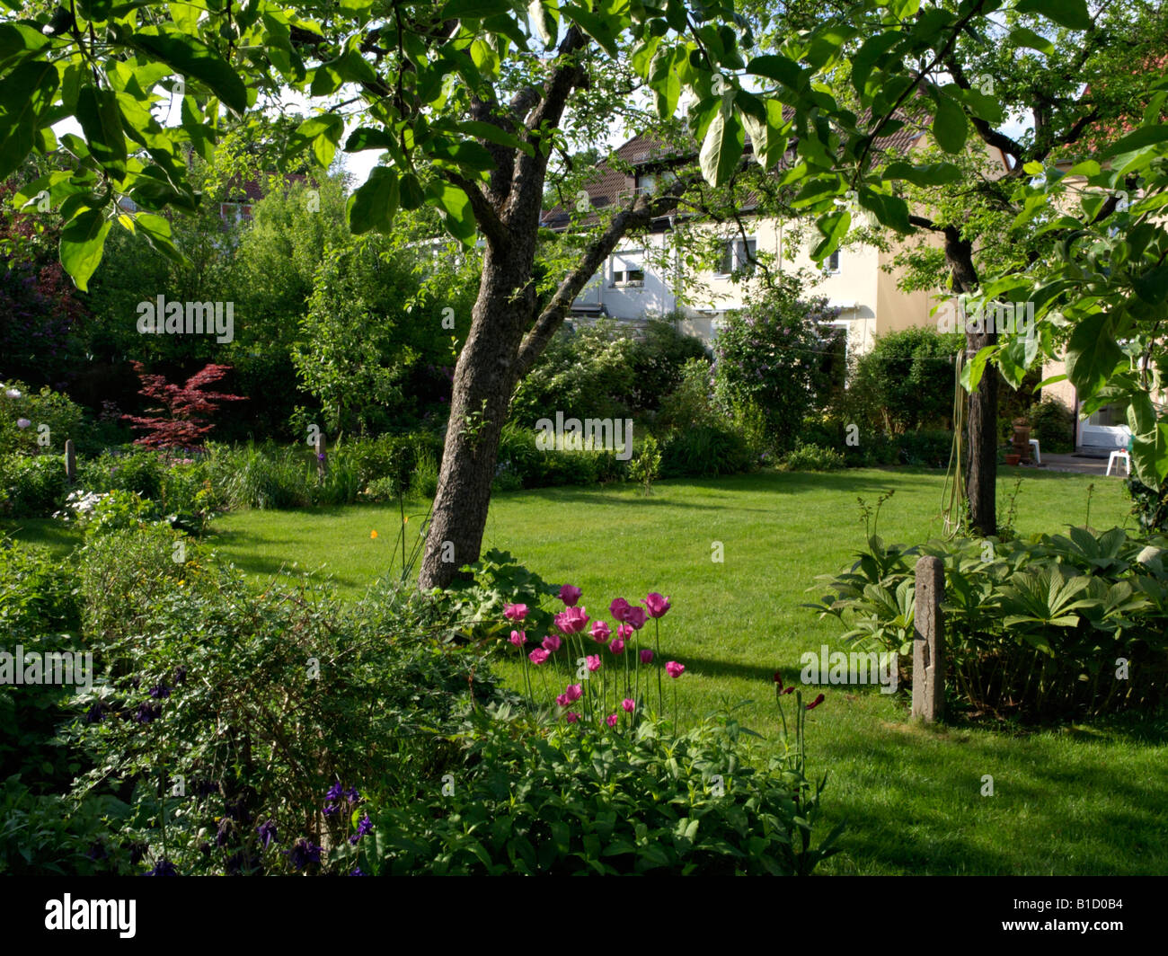 Villetta a schiera con giardino prato e alberi da frutto Foto Stock