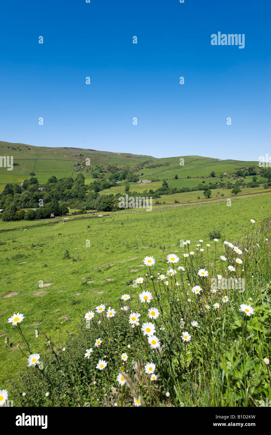 Campagna in alta vetta vicino Hayfield tra Glossop e Buxton, Peak District, Derbyshire, England, Regno Unito Foto Stock