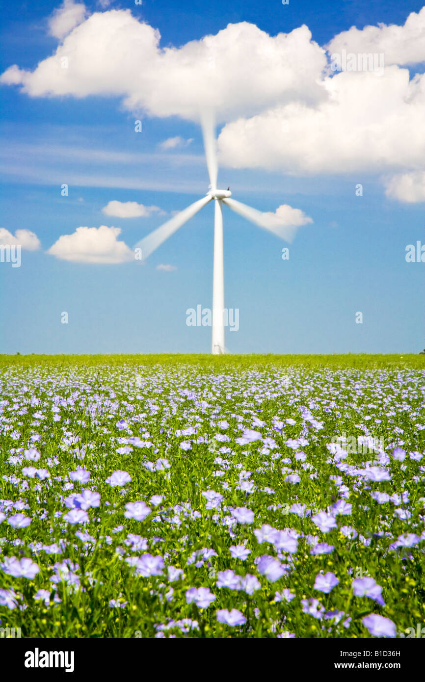 Singola turbina eolica contro un cielo estivo con battente campo blu di lino o semi di lino in primo piano, Oxfordshire, England Regno Unito Foto Stock