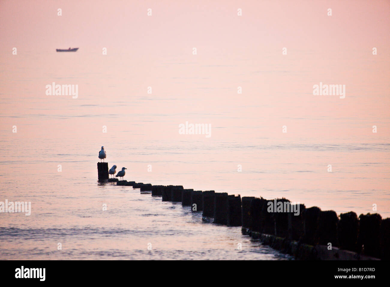 Pennelli e mare alba Cromer Foto Stock