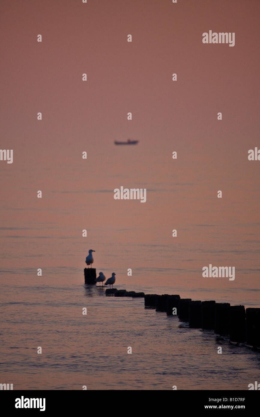 Pennelli e mare alba Cromer Foto Stock