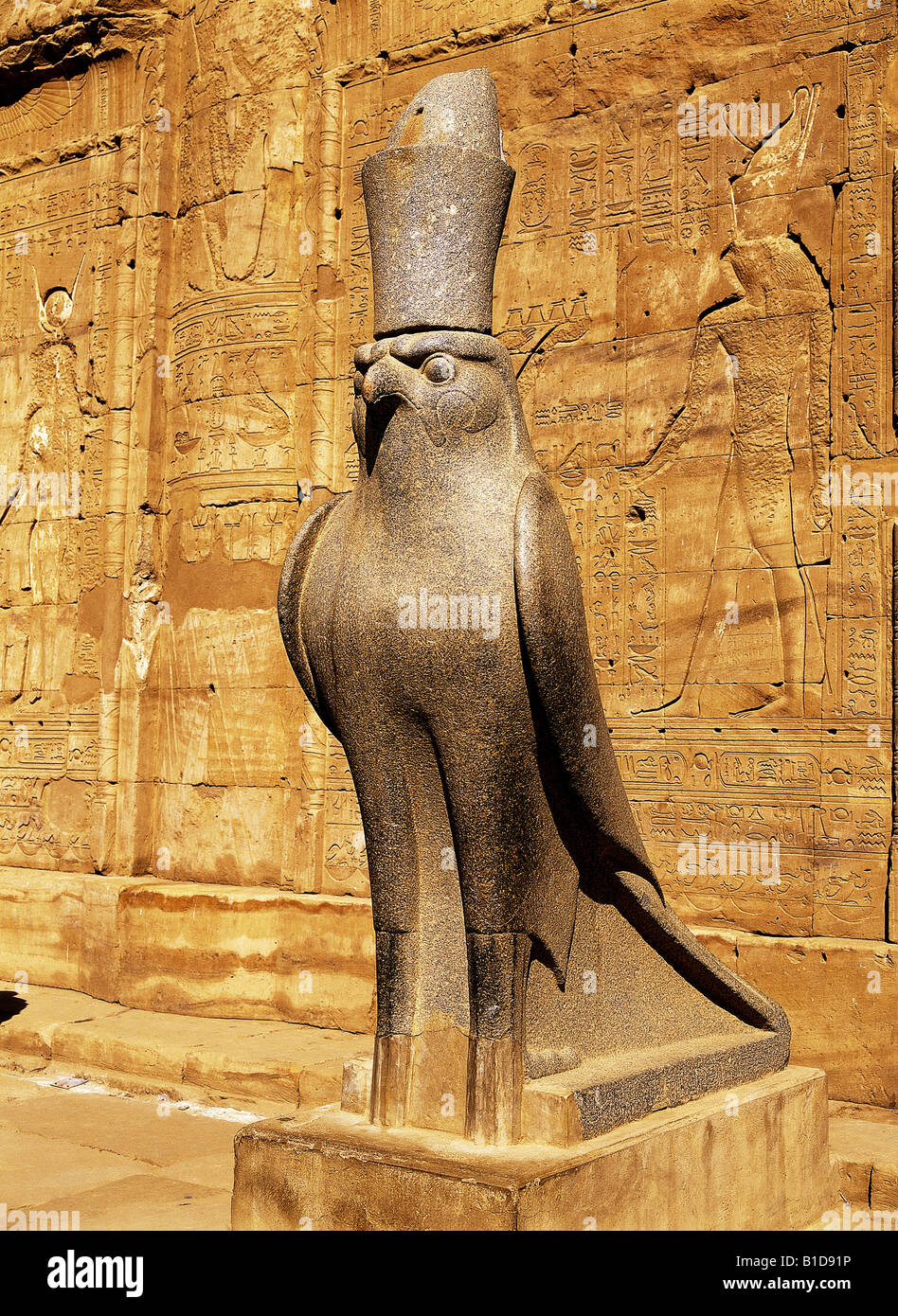 Falco di Horus al Tempio di Horus Edfu Luxor Egitto Foto Stock