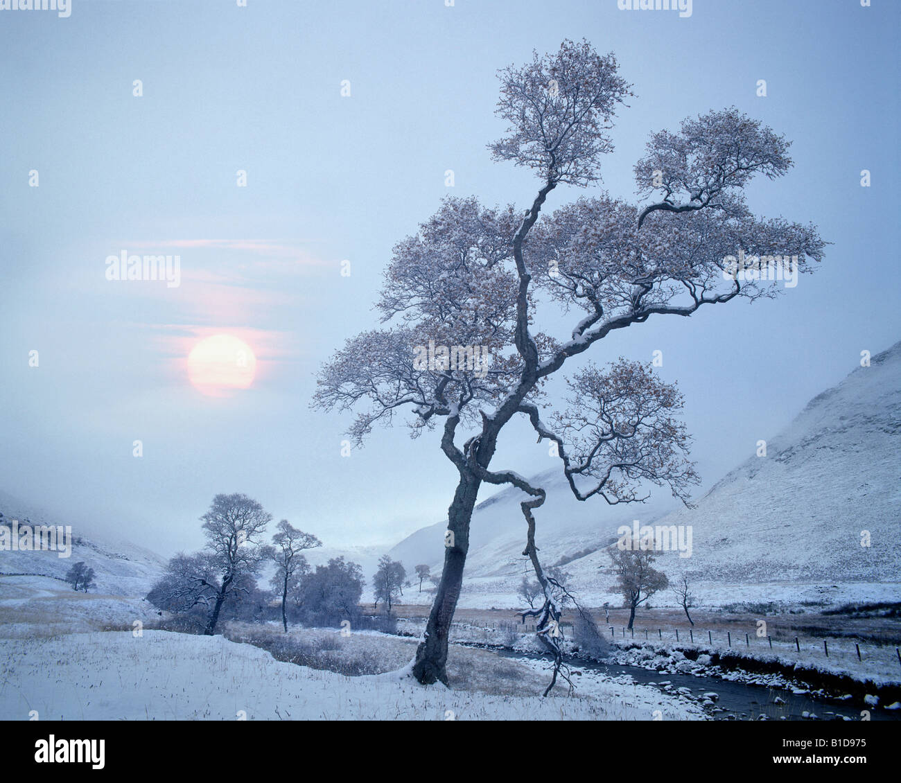 GB - Scozia: Inverno in Glen Lochsie Foto Stock