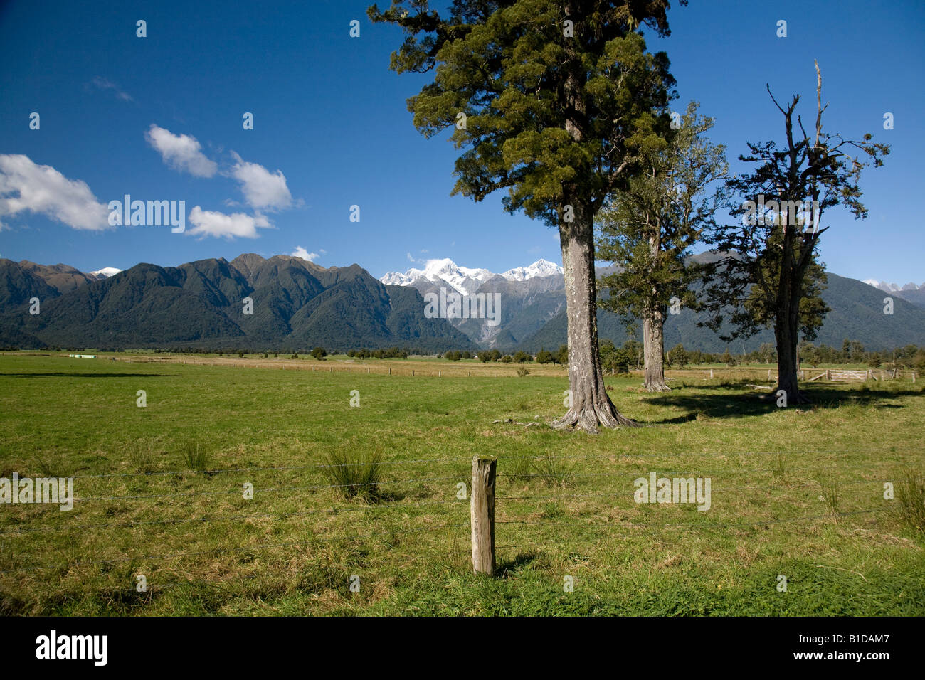 Mt Cook e mt tasman isola del sud campagna,Nuova Zelanda Foto Stock