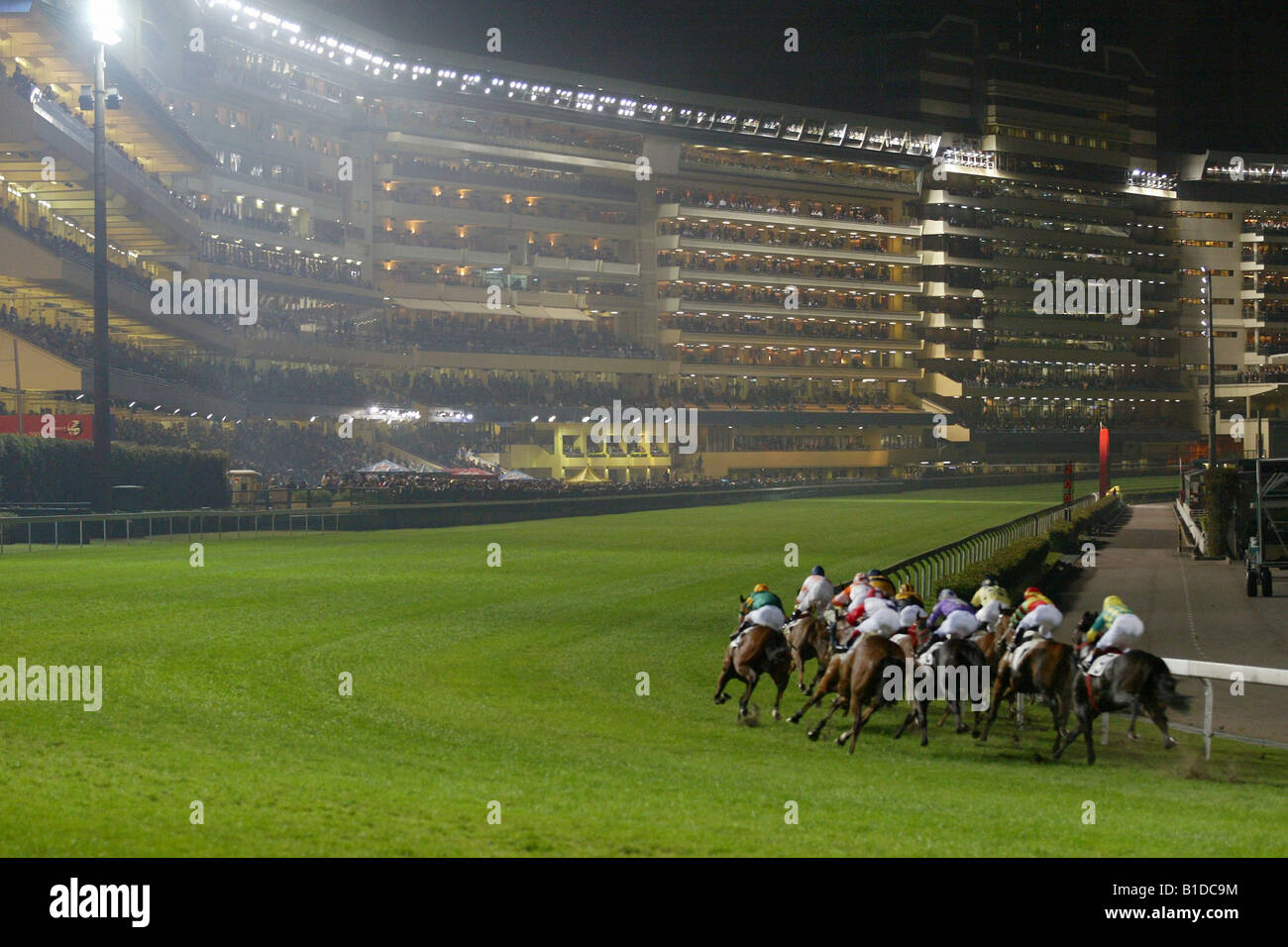 Cavalli su Happy Valley Race Course a Hong Kong Foto Stock