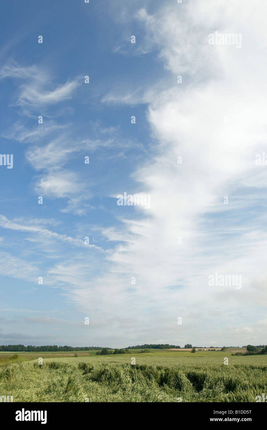 Cirrus nubi su terreni agricoli, Indre-et-Loire, Francia. Foto Stock