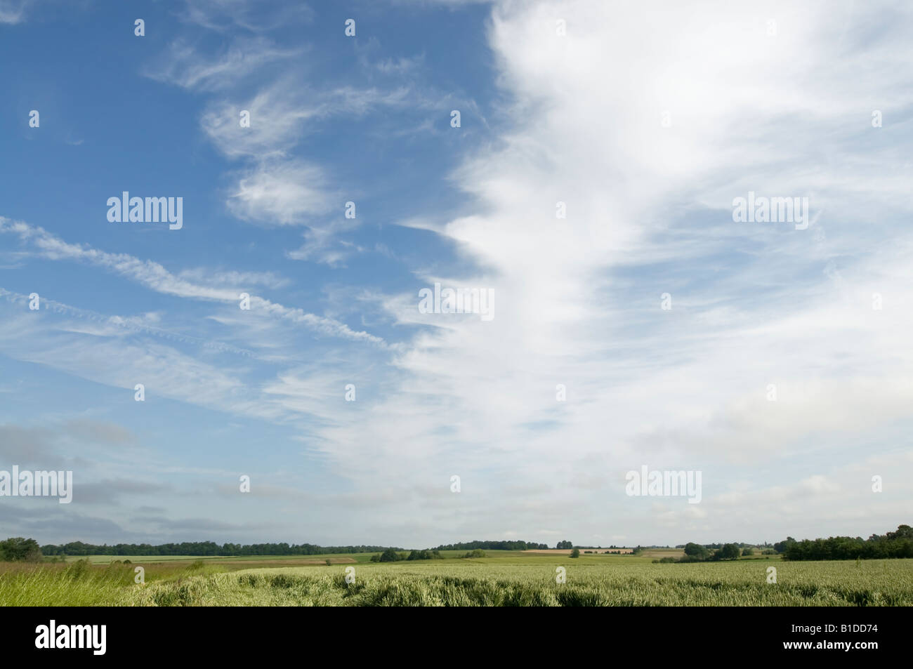 Cirrus nubi su terreni agricoli, Indre-et-Loire, Francia. Foto Stock