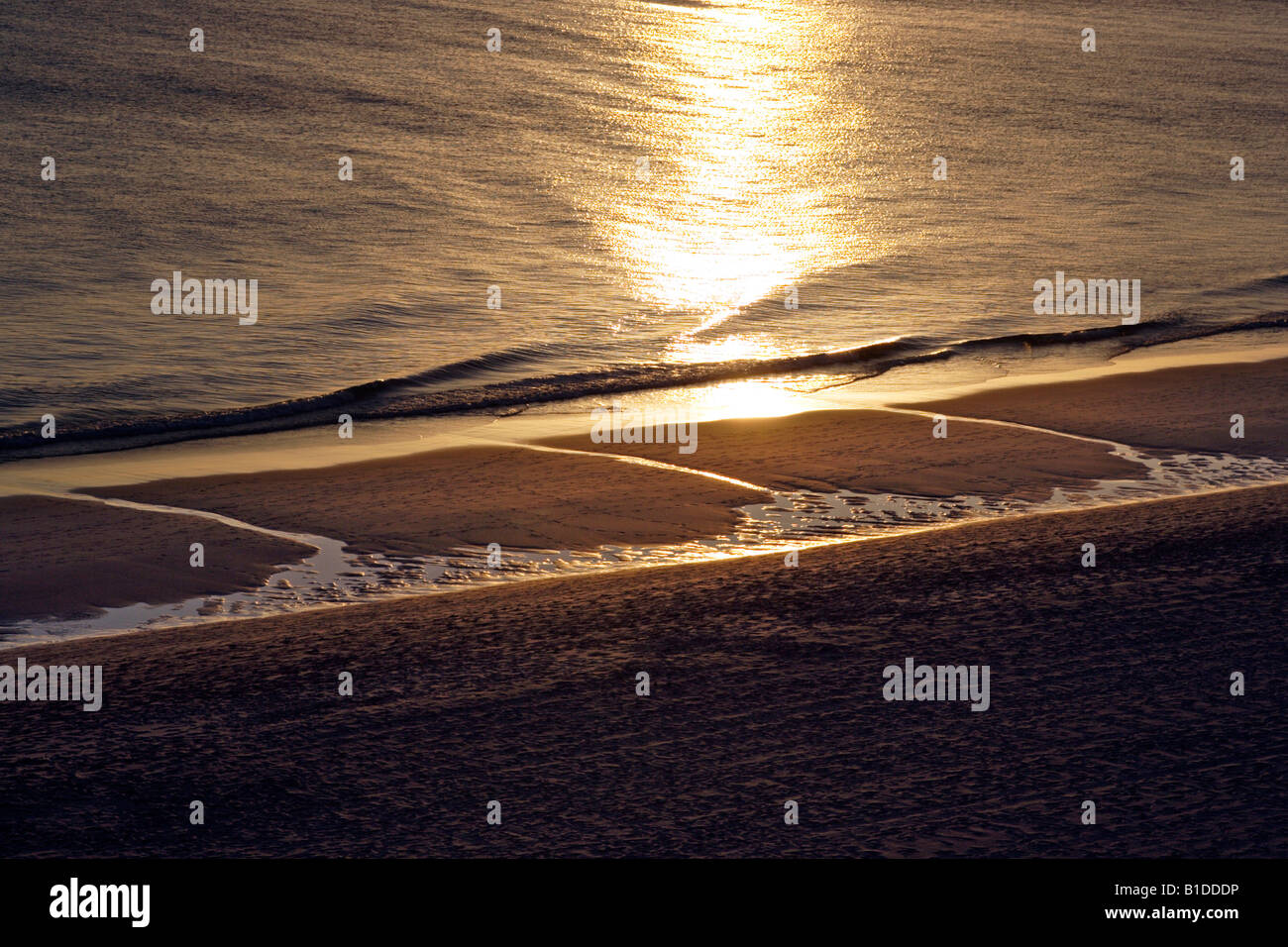 Modelli sulla spiaggia Foto Stock