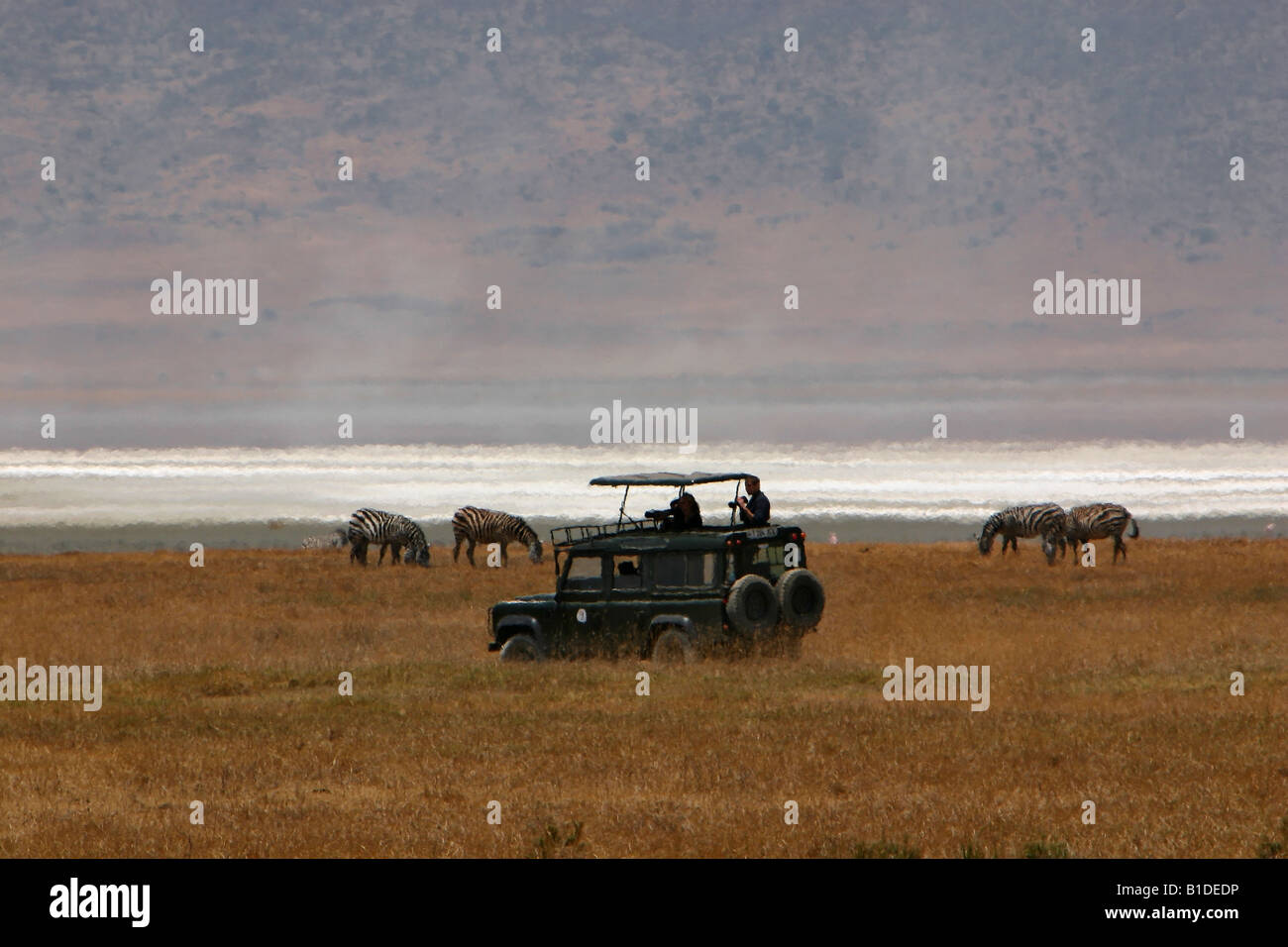 I turisti in sommità aperta jeep safari fotografando la fauna selvatica nel cratere di Ngorongoro, Tanzania Africa Foto Stock