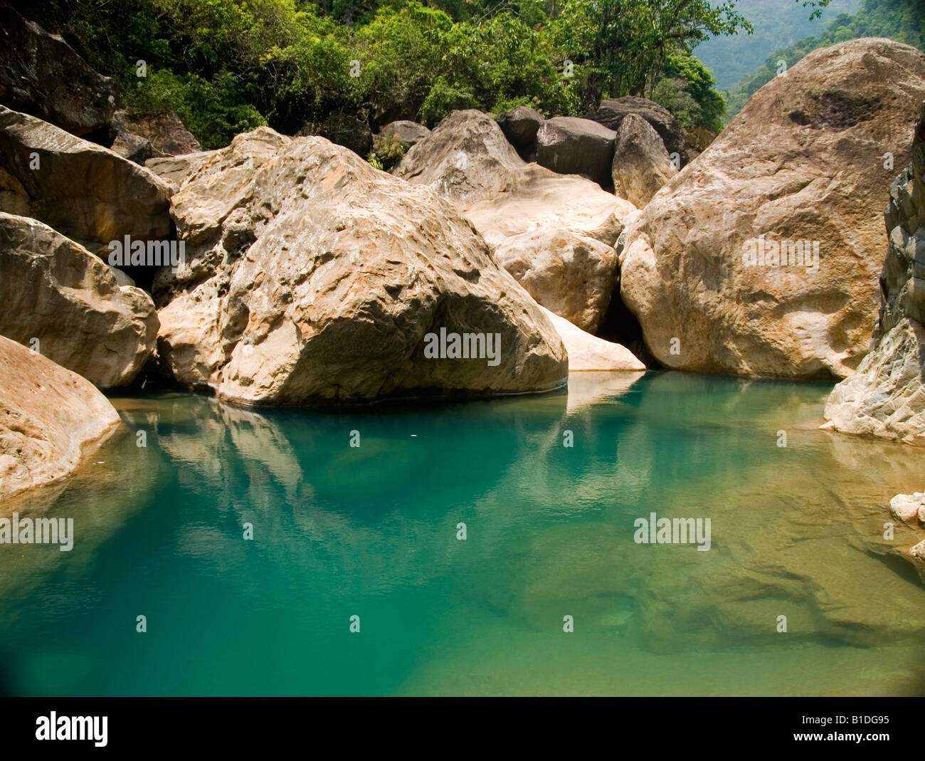 Bella piscina nel foro delle foreste di Meghalaya India Foto Stock