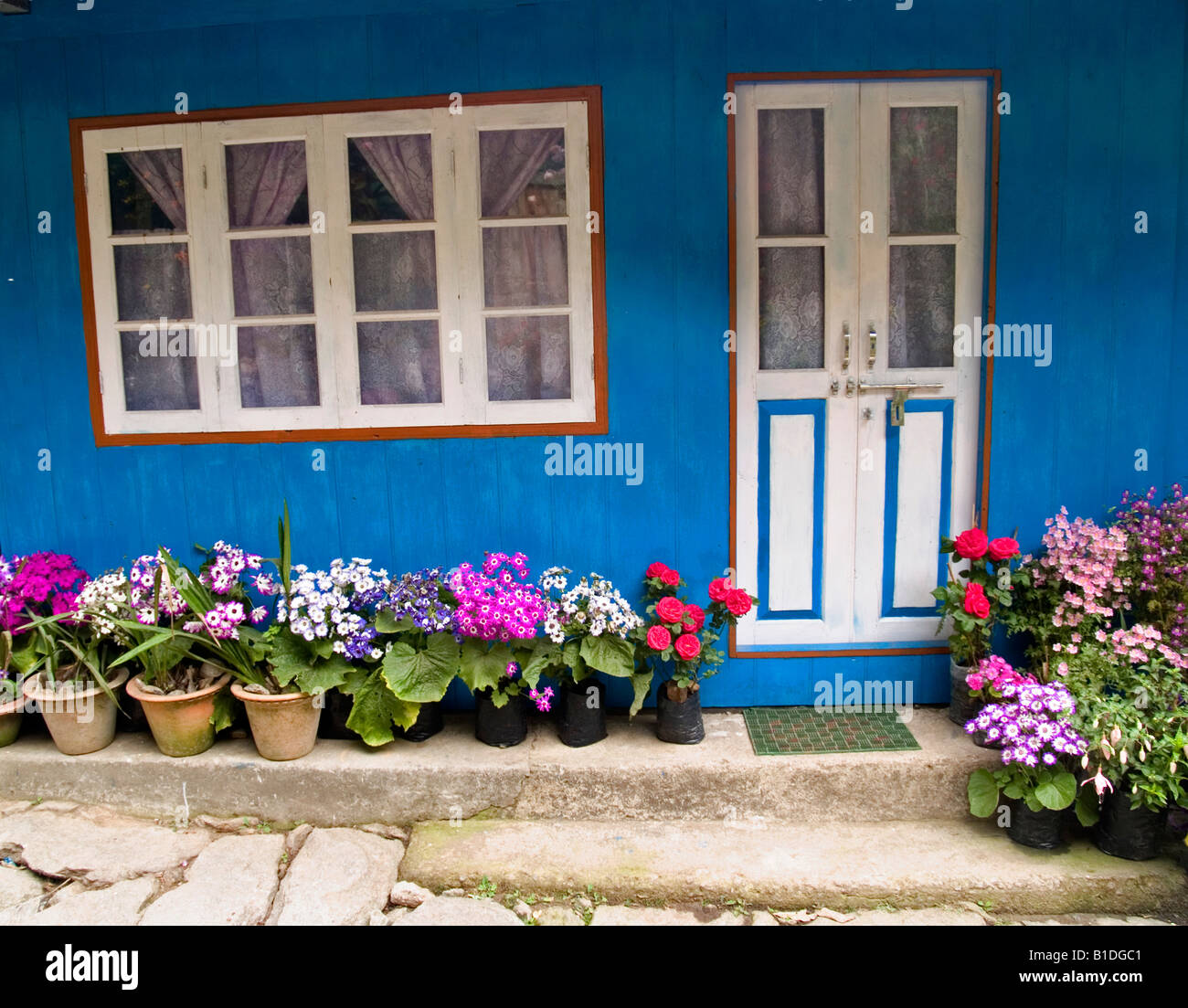Il nepalese colorate home sul Singalila Ridge lungo il Nepal India border Foto Stock