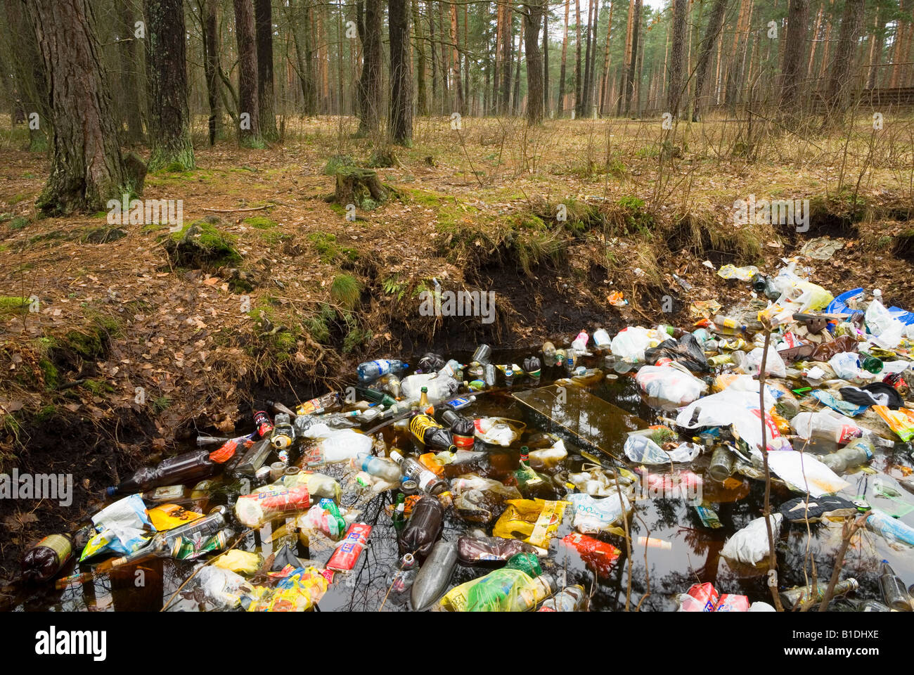 Un mucchio di immondizia theown fuori nella foresta Foto Stock