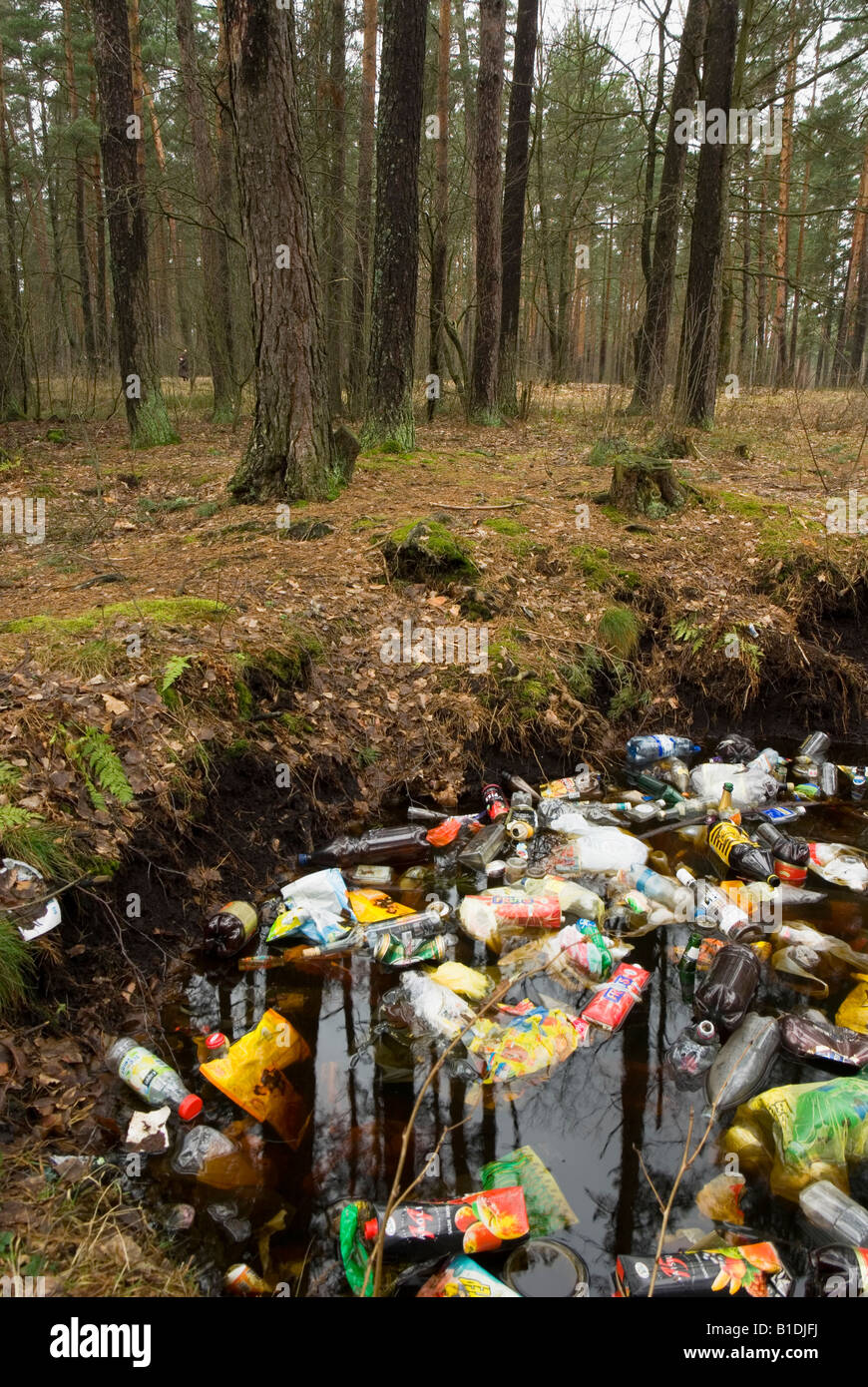 Un mucchio di immondizia theown fuori nella foresta Foto Stock