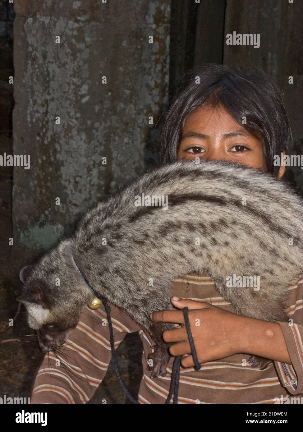 Ragazza cambogiana con pet zibetto a Preah Khan, tempio di Angkor, Cambogia Foto Stock