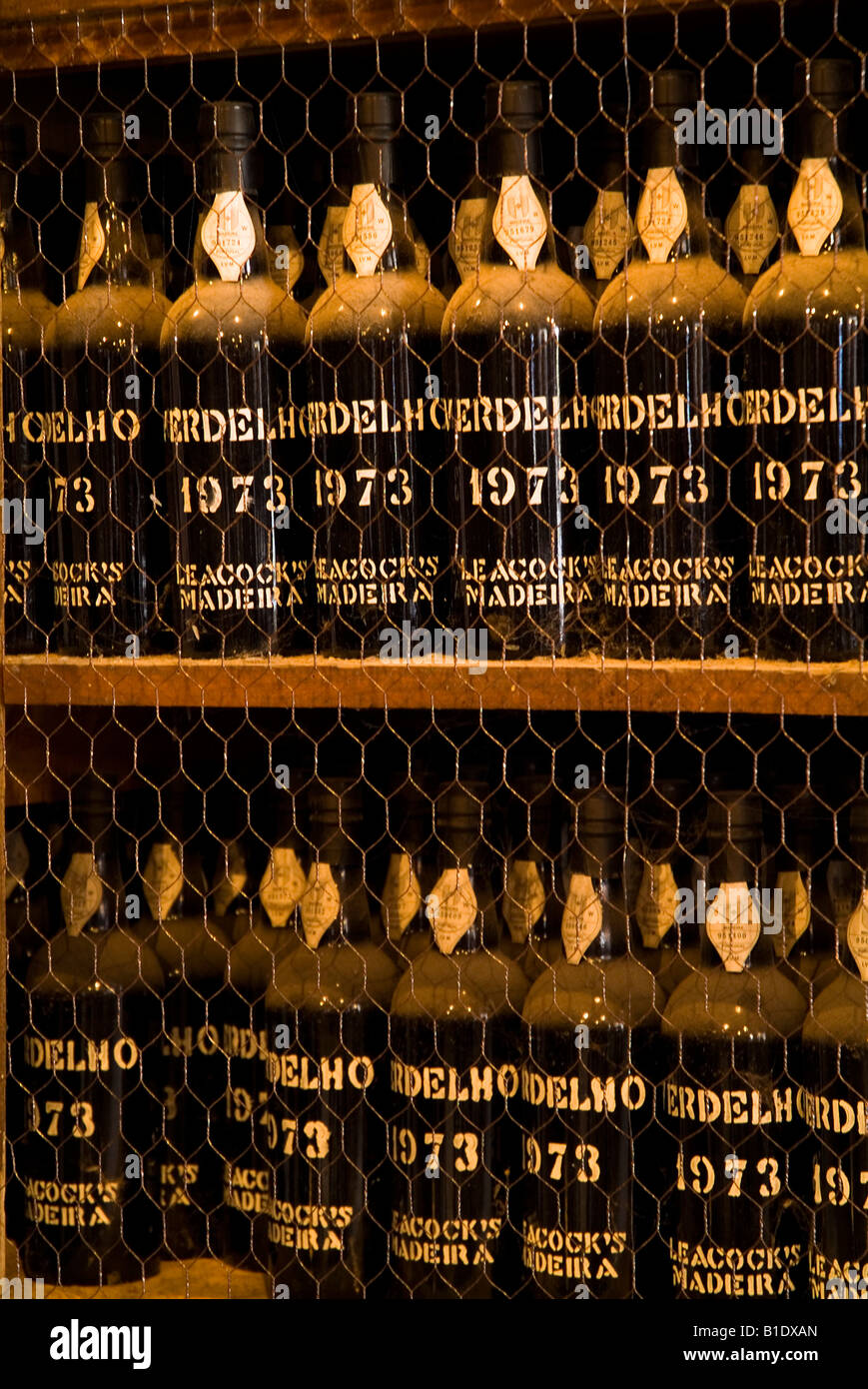 Dh Adegas de Sao Francisco Funchal Madeira Madeira Wine lodge con bottiglie in rack vintage vecchia cantina blandy museum Foto Stock