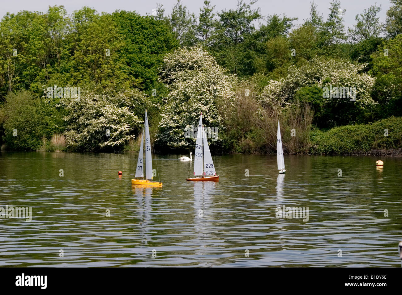 Radio Controlled barche sul lago Cosmeston Penarth Foto Stock