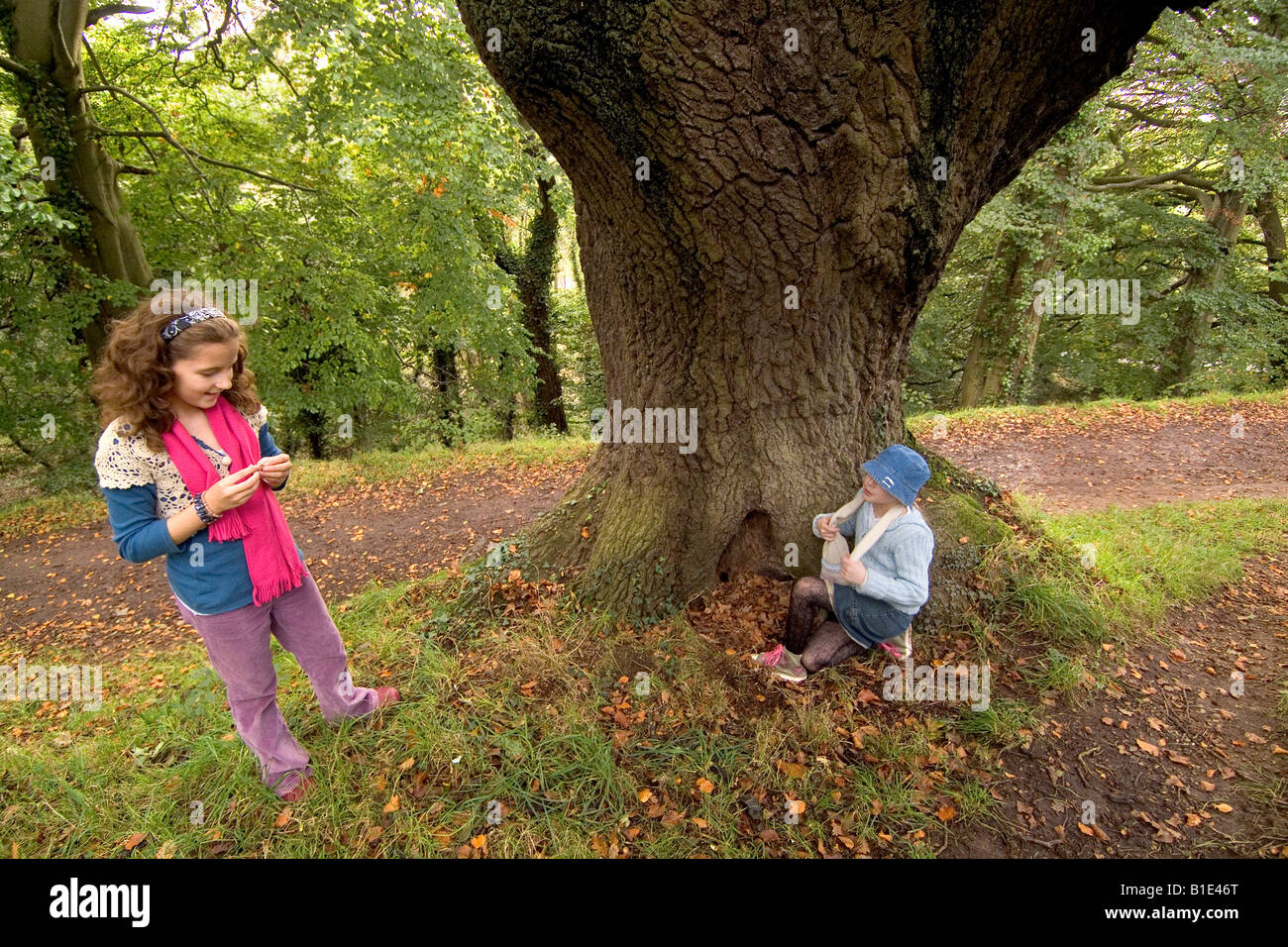 Bambini che giocano nei boschi Belfast Foto Stock