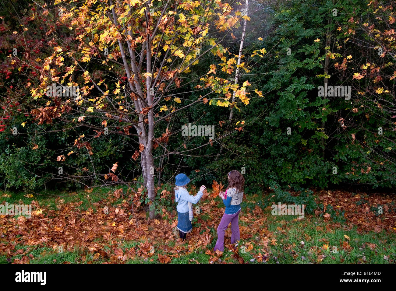 Bambini che giocano nei boschi Belfast Foto Stock