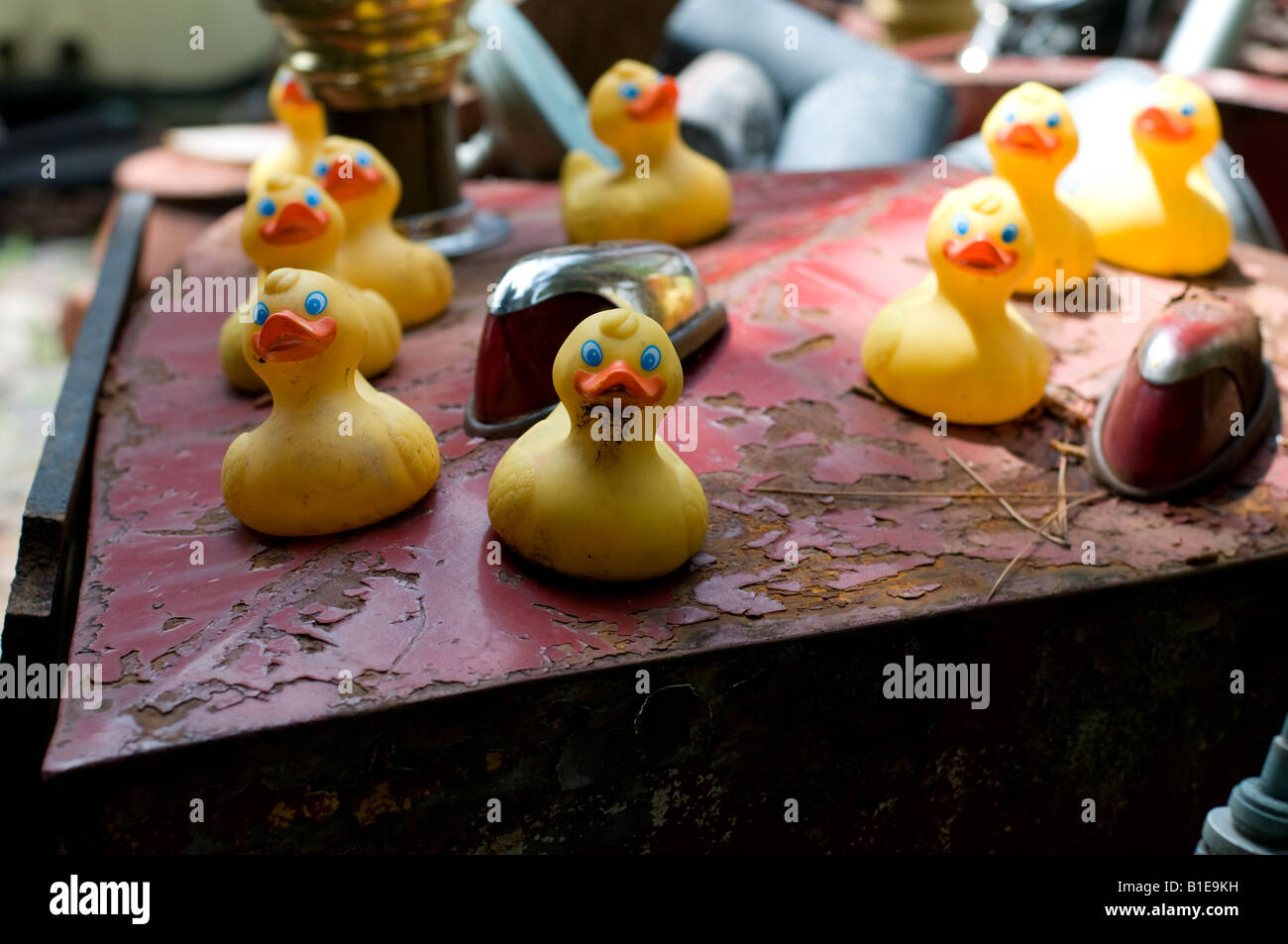 Una collezione di antichi le papere di gomma su una vecchia barca rossa visualizzata presso un negozio di antiquariato, STATI UNITI D'AMERICA. Foto Stock