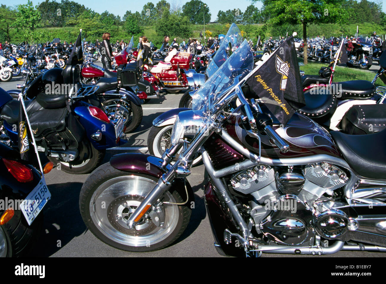 In Canada la moto per il papà per la lotta contro il cancro della prostata tenuto a Vancouver British Columbia Canada - 31 Maggio 2008 Foto Stock