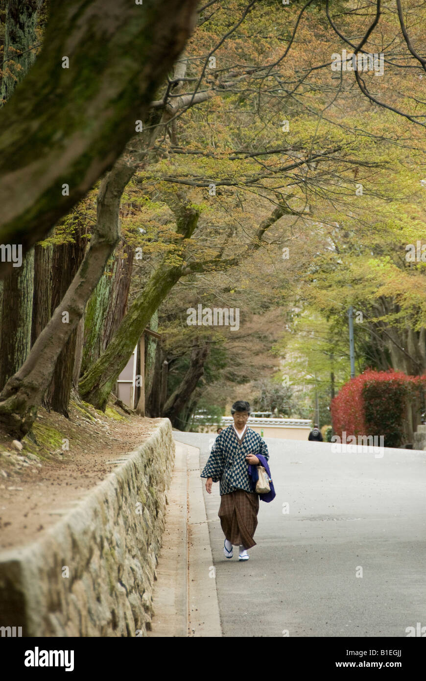Kyoto, Giappone. Una donna giapponese vestita tradizionalmente cammina lungo una tranquilla strada suburbana Foto Stock