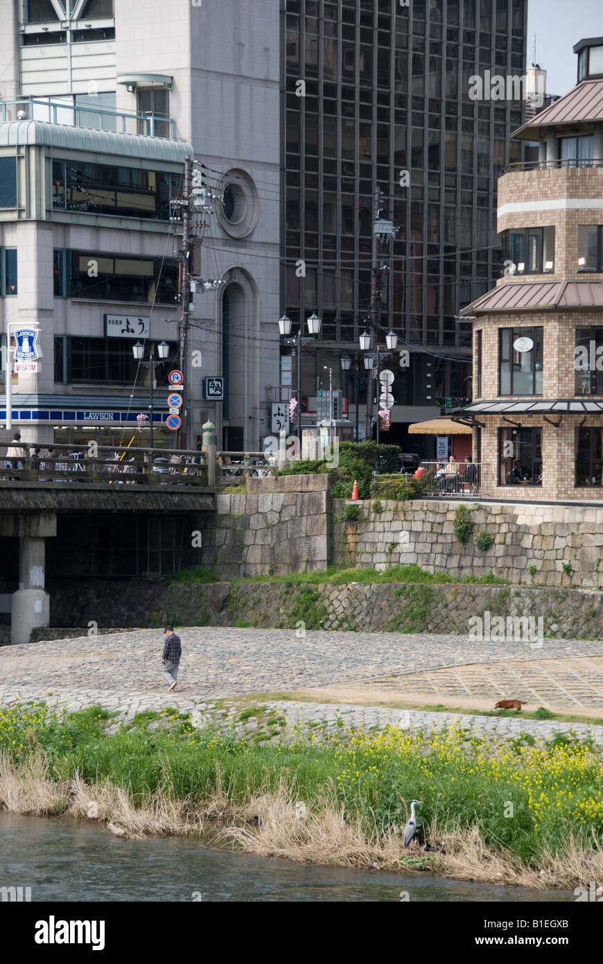 Kyoto, Giappone. Un uomo cammina il suo cane lungo la riva del fiume nel centro di Kyoto, mentre un airone guarda. Un ramo di Starbucks si trova sulla destra dell'immagine Foto Stock