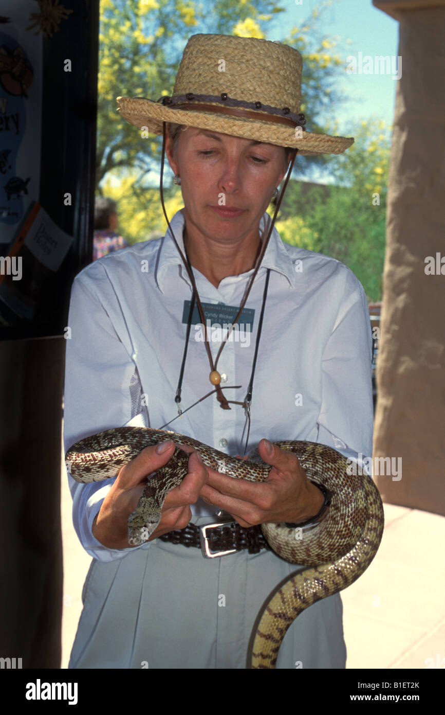 Docente detiene un serpente, Arizona Sonora Desert Museum, Tucson, Arizona. Foto Stock