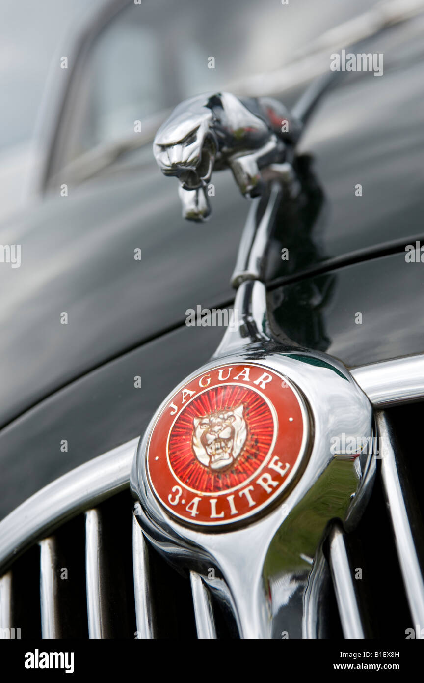 Mk II Jaguar Badge mascotte Foto Stock