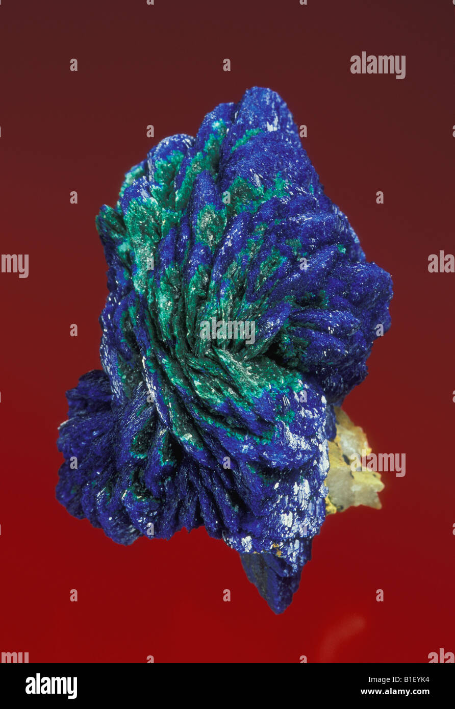 Azurite con Malachite Foto Stock