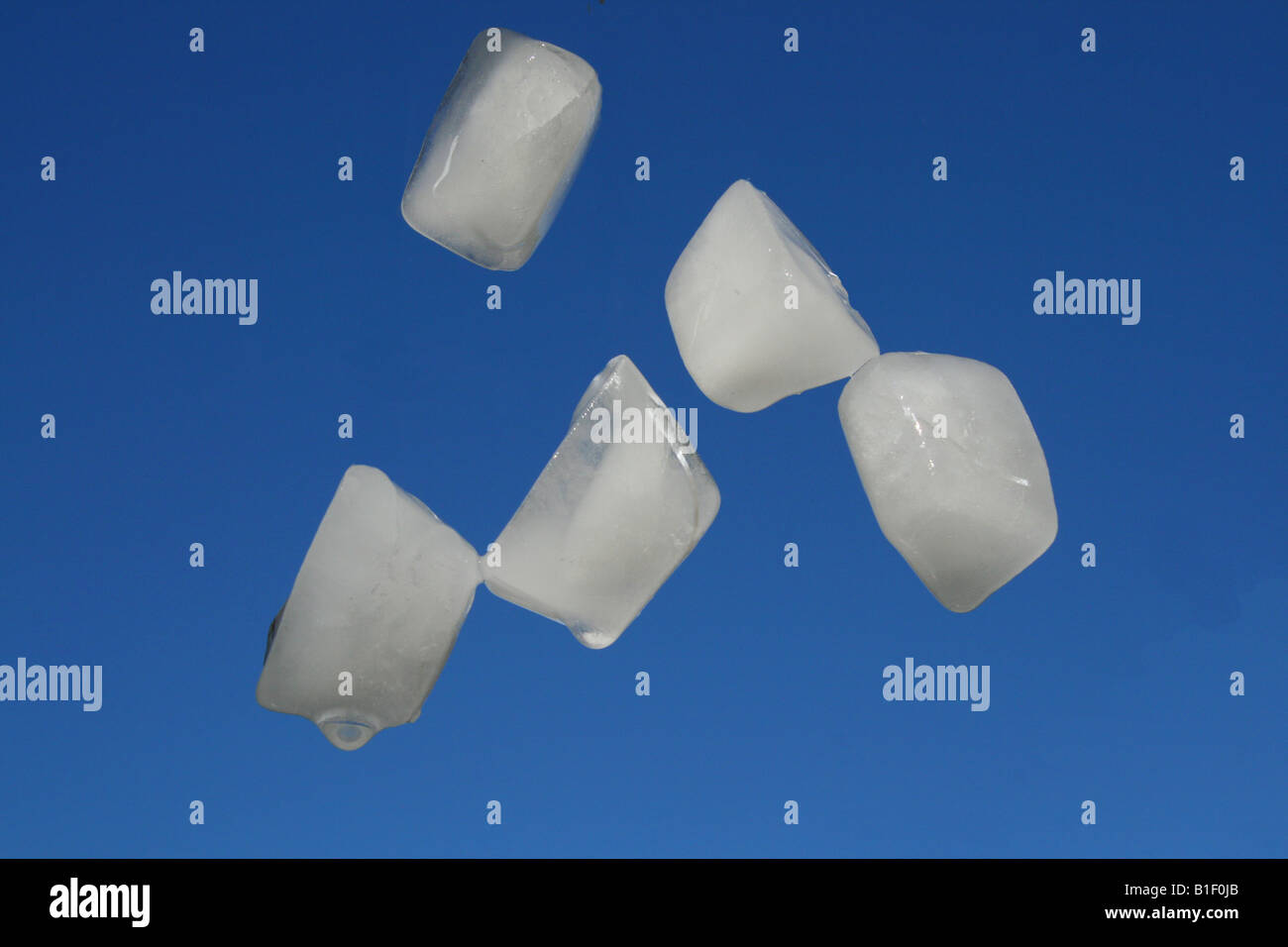 Stato fisico della materia, cubetti di ghiaccio fondente, di Carol Dembinsky/Dembinsky Photo Assoc Foto Stock