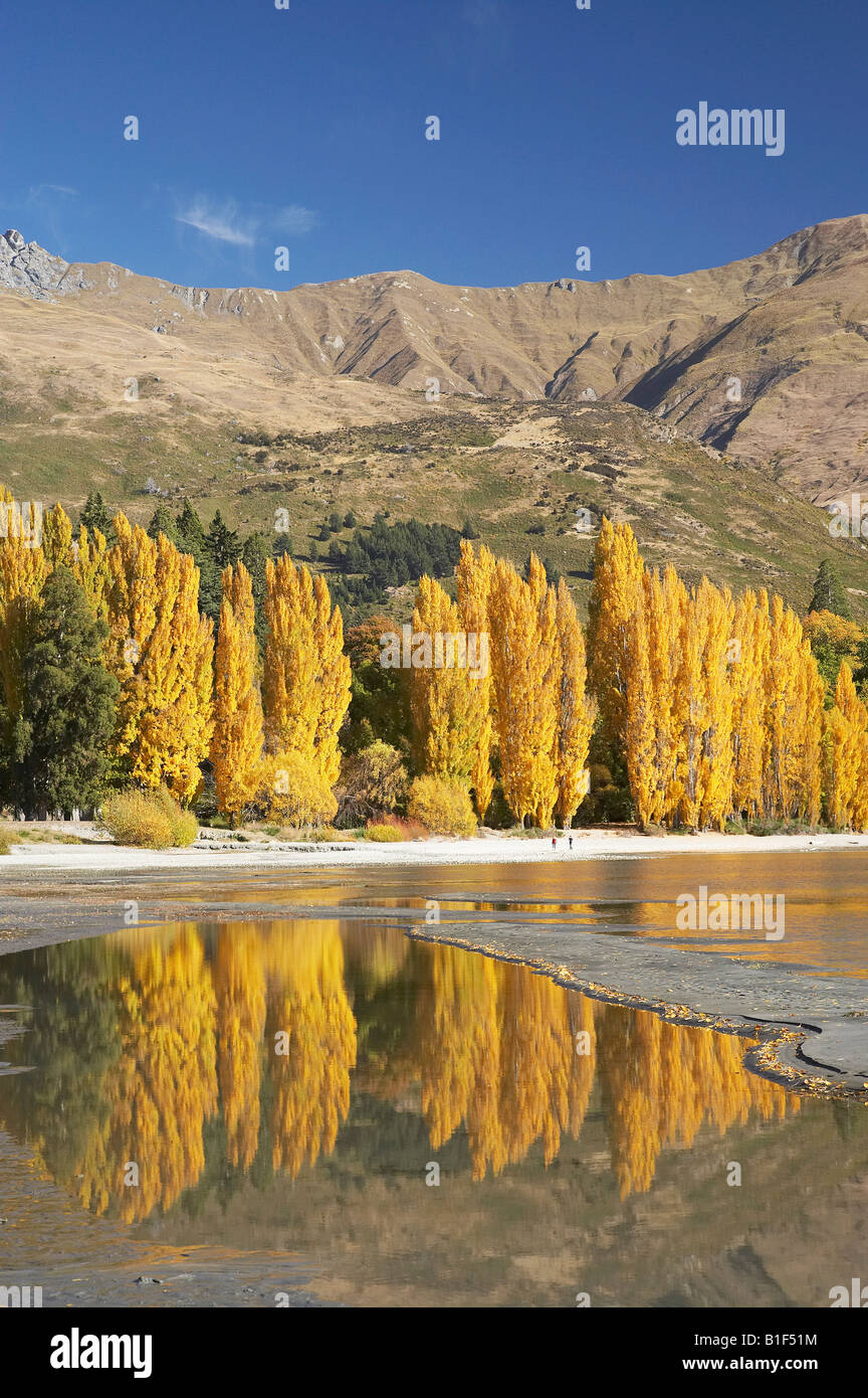 Alberi di pioppo e il lago Wanaka Otago Isola del Sud della Nuova Zelanda Foto Stock