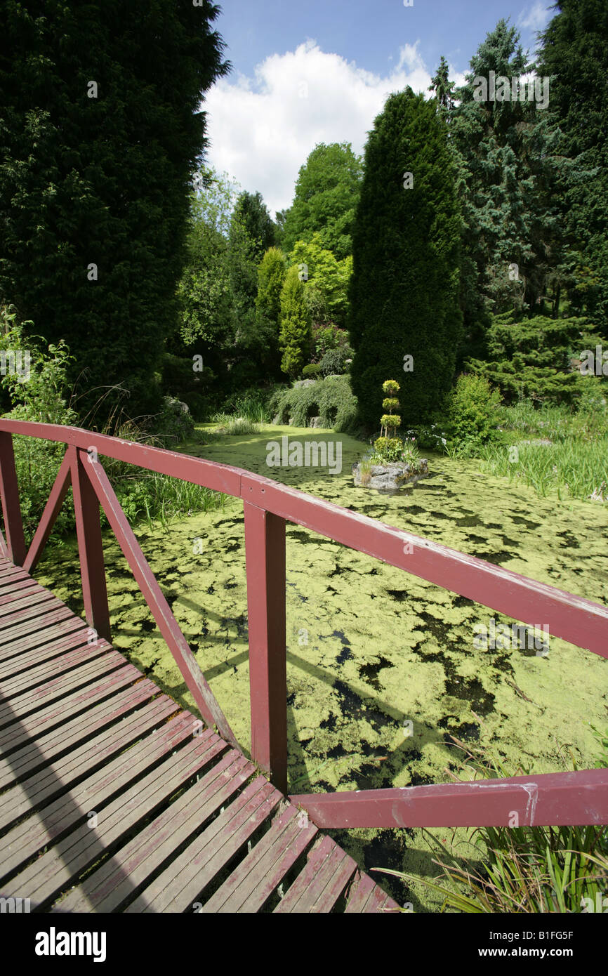 Città di Preston, Inghilterra. Il ponte sopra la cascata e laghetto in giardino giapponese in Preston Avenham del parco. Foto Stock